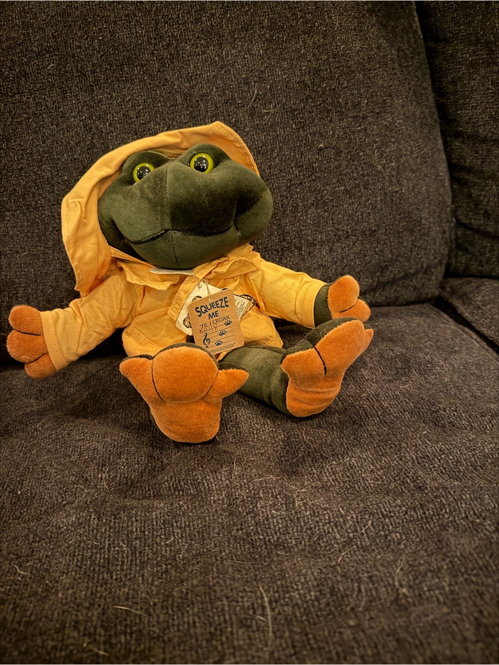 G Kelly  Ribbit frog with rain coat